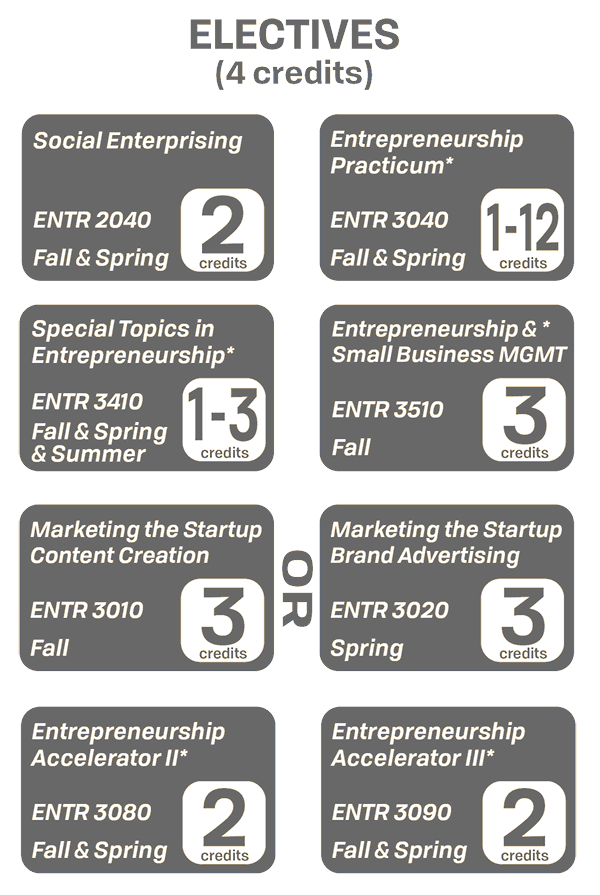 Graphic depicting 12 elective course options and credits earned with each courses .