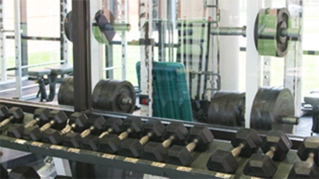 Dumbbells in fitness center