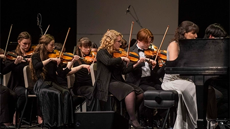 Group of people playing violin in an orchestra
