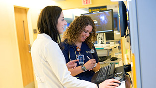 Nurses on Computer