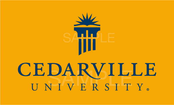 Blue on Gold Logo