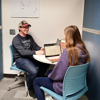 Female students sitting on the lawn studying outside on a sunny day.