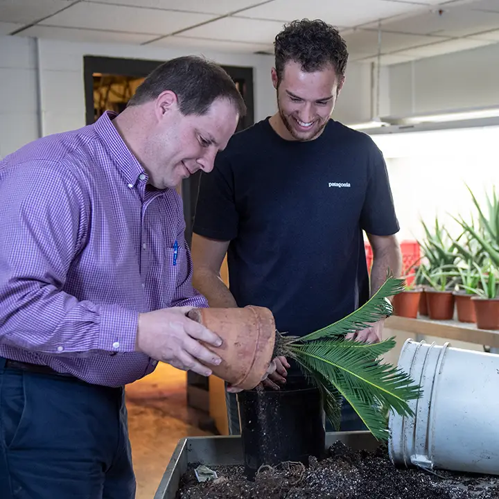 Two men transplanting a potted plant to another pot.